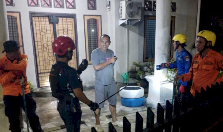 Petugas Damkar berhasil mengevakuasi seekor anakan ular kobra yang masuk lingkungan rumah warga di Lubuklinggau/ist