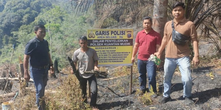 Lokasi pembakaran lahan hutan lindung di Bukit Betabuh, Kabupaten Kuantan Singingi, Riau/Ist