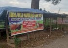 Jelang Idul Adha, Penjualan Kambing Kurban di Empat Lawang Masih Sepi