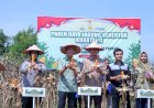 Ratu Dewa Ikuti Panen Raya Jagung Serentak Bersama Presiden Prabowo