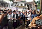 Masjid Agung Palembang Terima 14 Sapi Kurban di Idul Adha 