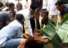 Korem 044/Gapo Laksanakan Shalat Idul Adha dan Pemotongan Hewan Kurban  