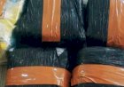 Penyelundupan 40 Kg Sabu Jaringan Aceh–Banten Digagalkan Bea Cukai
