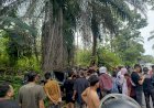 Tabrak Motor hingga Tewaskan Ibu dan Anak, Sopir Pick Up di Lubuklinggau Resmi Jadi Tersangka