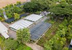 Wujudkan Pertambangan Berkelanjutan, Bukit Asam Dukung Program Net Zero Emission 2060