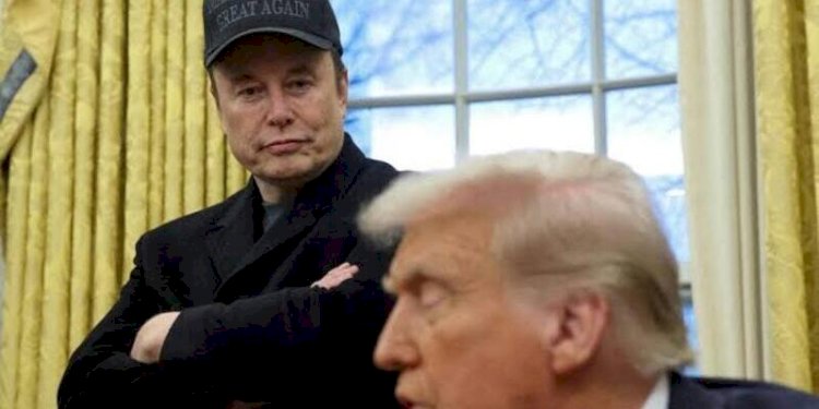 Elon Musk/Net